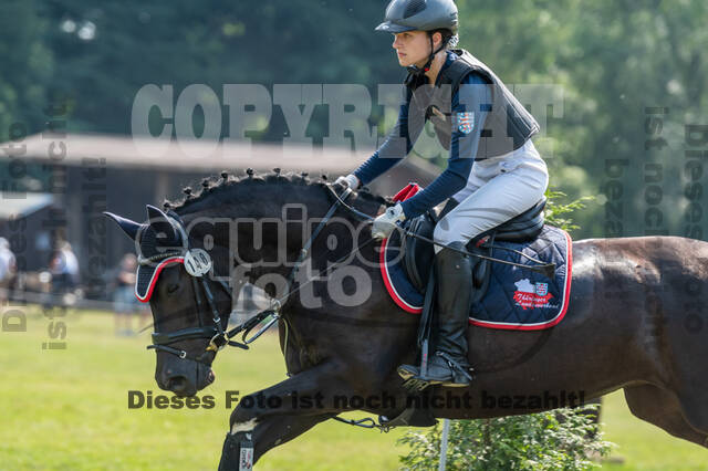 Goldene Schärpe 2021 - Ponys