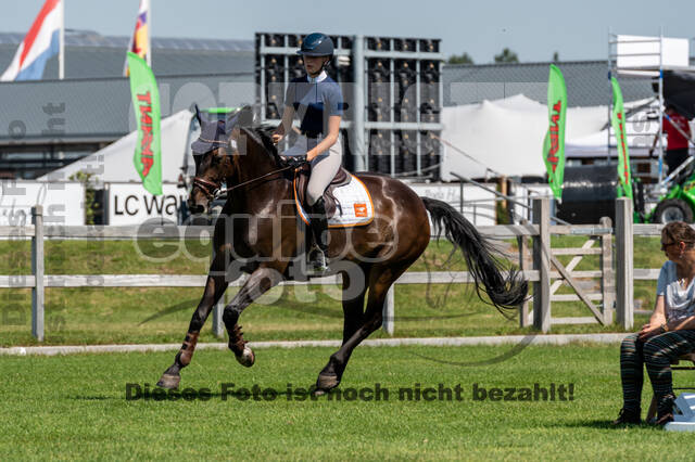 Kronenberg - De Peelbergen (August 2020)