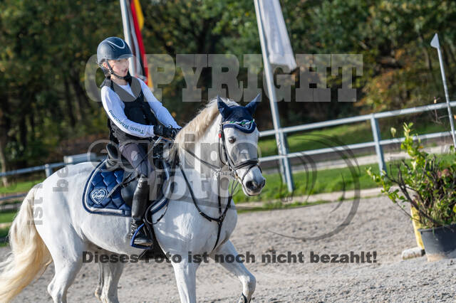 IGV Lehrgang der Sieger der Cups mit Frank Ostholt
