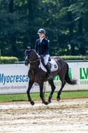 Goldene Schärpe 2021 - Ponys