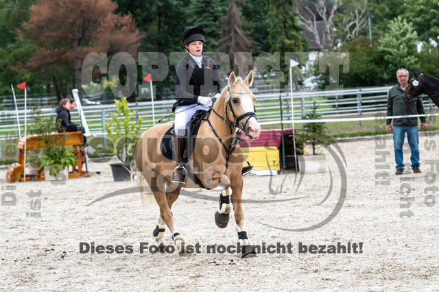 Late-Entry-Vielseitigkeit Langenfeld (06.+07.07.2020)