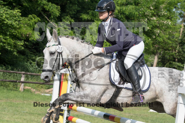 Vielseitigkeitsturnier ZRuFV von Lützow Hamminkeln