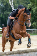 Hunter Geländetraining 10.07.2021 (Sonsbeck)