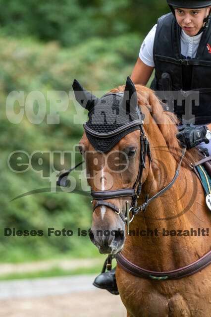 Late-Entry-Vielseitigkeit Langenfeld (06.+07.07.2020)