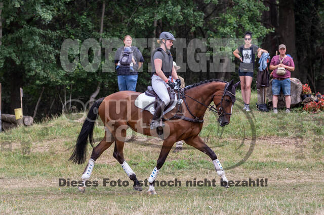Late-Entry Vielseitigkeit Hamminkeln/Wesel (01.+02.08.2020)
