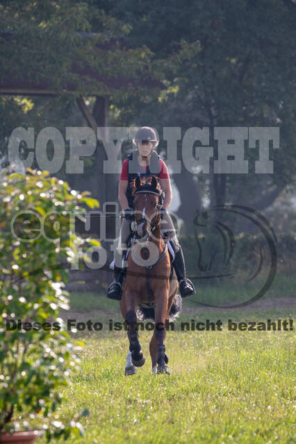 Late-Entry-Vielseitigkeit Gahlen (18.07.2020)