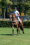 Kronenberg - De Peelbergen (August 2020)