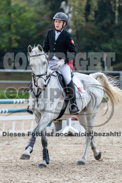 Goldene Schärpe 2020 - Pferde