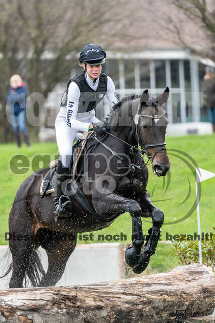 Goldene Schärpe 2020 - Pferde