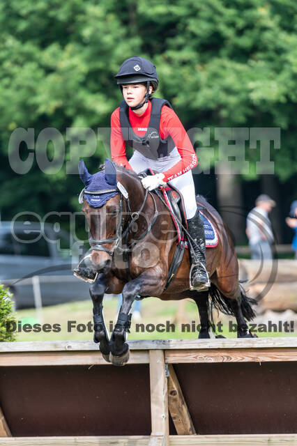 Goldene Schärpe 2021 - Ponys