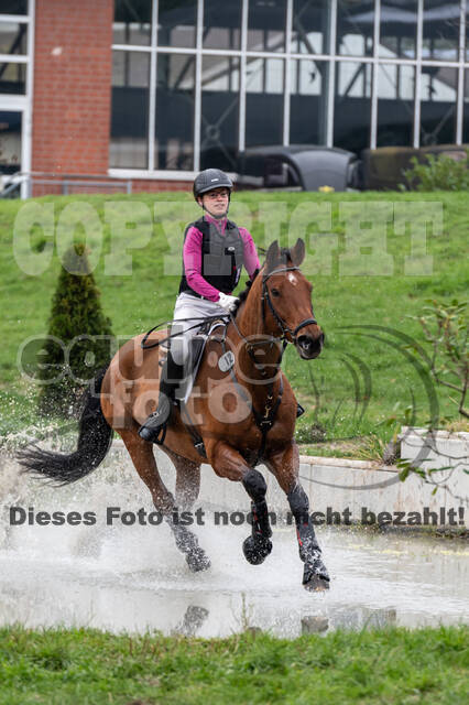 Goldene Schärpe 2020 - Pferde