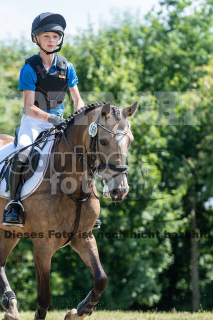 Goldene Schärpe 2021 - Ponys