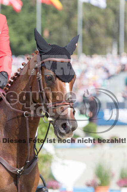 FEI European Championship Eventing 2019