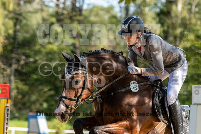 RFV Dinslaken-Hiesfeld (Herbstturnier)