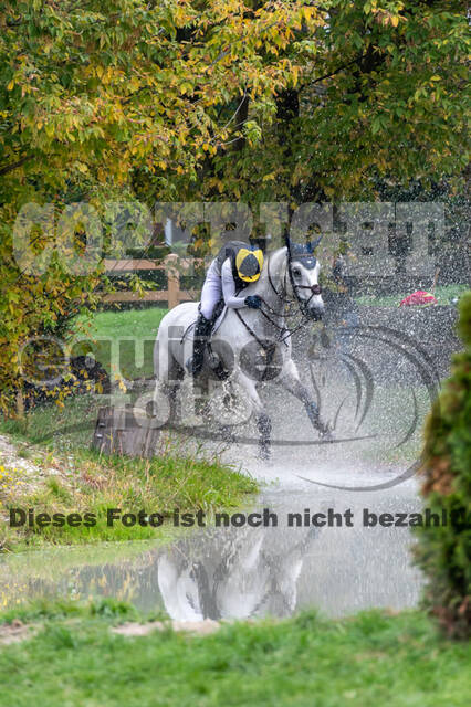 Goldene Schärpe 2020 - Pferde