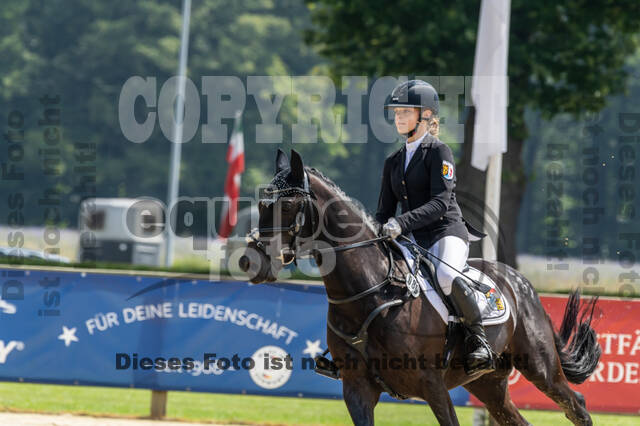 Goldene Schärpe 2021 - Ponys