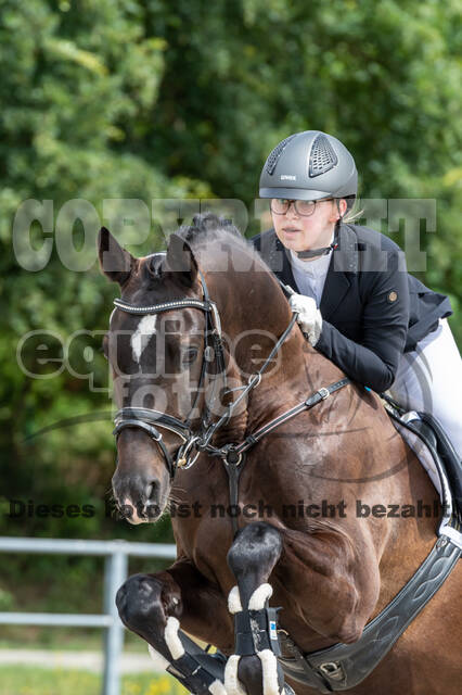 Late-Entry-Vielseitigkeit Langenfeld (06.+07.07.2020)