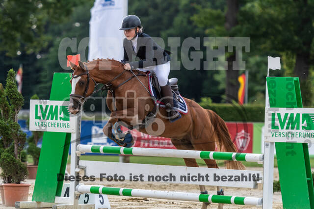Goldene Schärpe 2021 - Ponys
