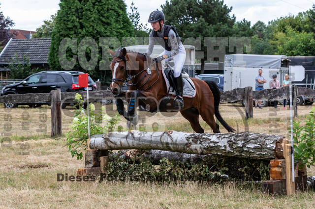 Late-Entry Vielseitigkeit Hamminkeln/Wesel (01.+02.08.2020)