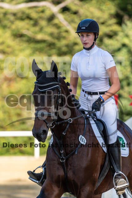 RFV Dinslaken-Hiesfeld (Herbstturnier)