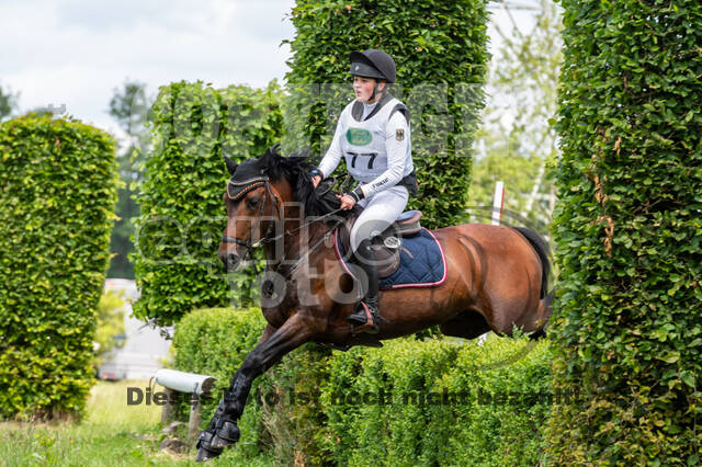 Westerstede Horse Trials 2021