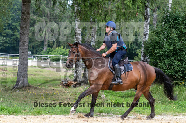 Hunter Geländetraining 10.07.2021 (Sonsbeck)