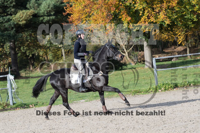 IGV Lehrgang der Sieger der Cups mit Frank Ostholt