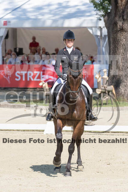 FEI European Championship Eventing 2017