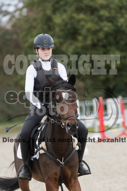 IGV Lehrgang der Sieger der Cups mit Frank Ostholt