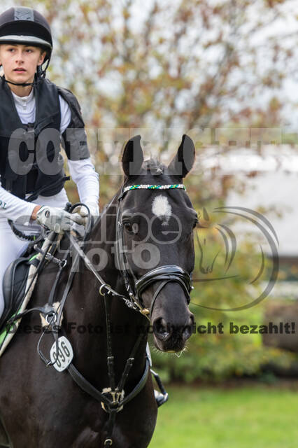 Goldene Schärpe 2020 - Pferde