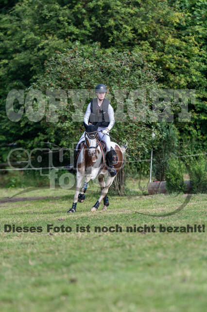 Goldene Schärpe 2021 - Ponys