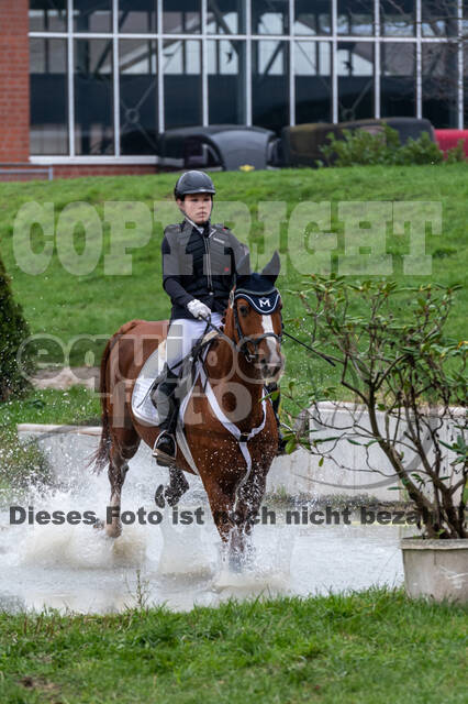 Goldene Schärpe 2020 - Pferde