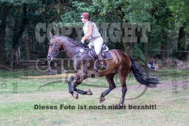 Late-Entry Vielseitigkeit Hamminkeln/Wesel (01.+02.08.2020)