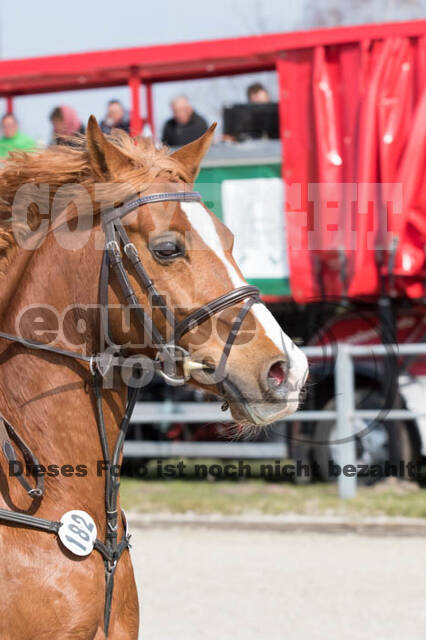 Eventing Langenfeld