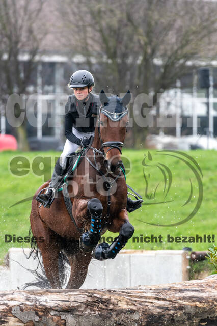 Goldene Schärpe 2020 - Pferde