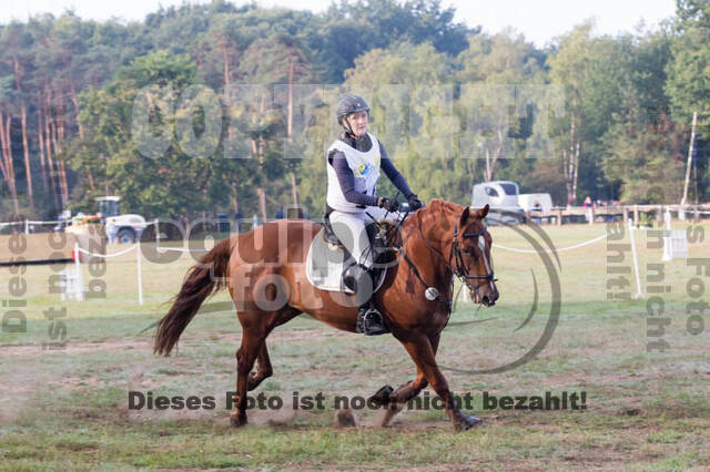 Vielseitigkeitsturnier RSV St. Hubertus Wesel Obrighoven