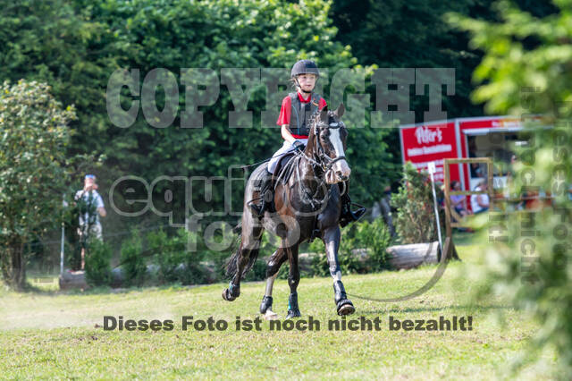 Goldene Schärpe 2021 - Ponys