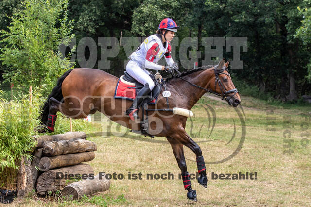 Late-Entry Vielseitigkeit Hamminkeln/Wesel (01.+02.08.2020)