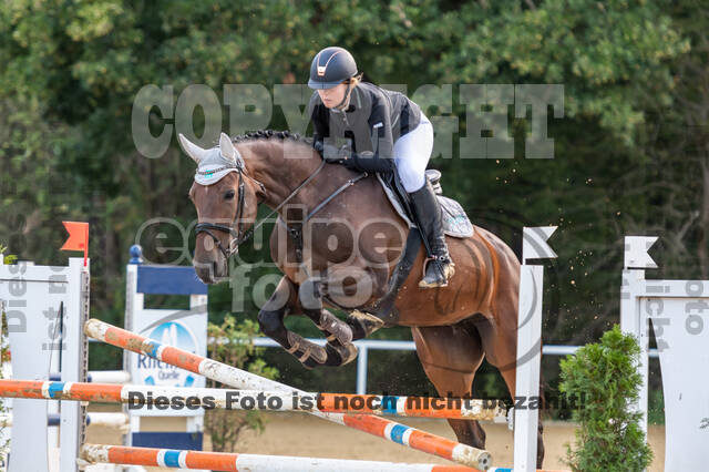 RFV Dinslaken-Hiesfeld (Herbstturnier)