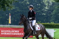 Goldene Schärpe 2021 - Ponys