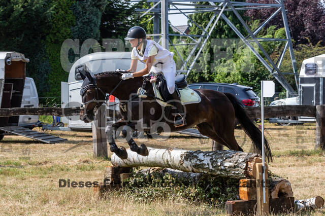 Late-Entry Vielseitigkeit Hamminkeln/Wesel (01.+02.08.2020)