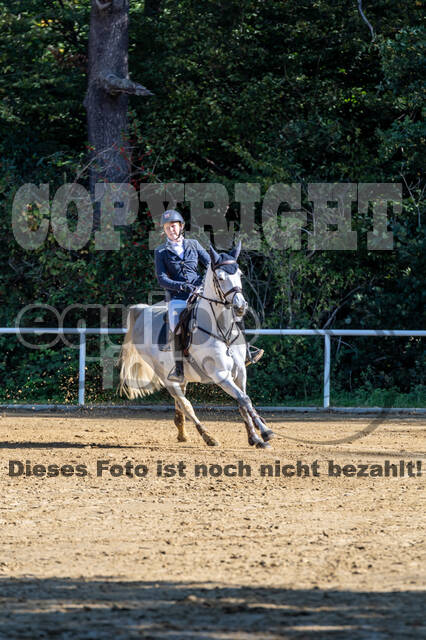 RFV Dinslaken-Hiesfeld (Herbstturnier)