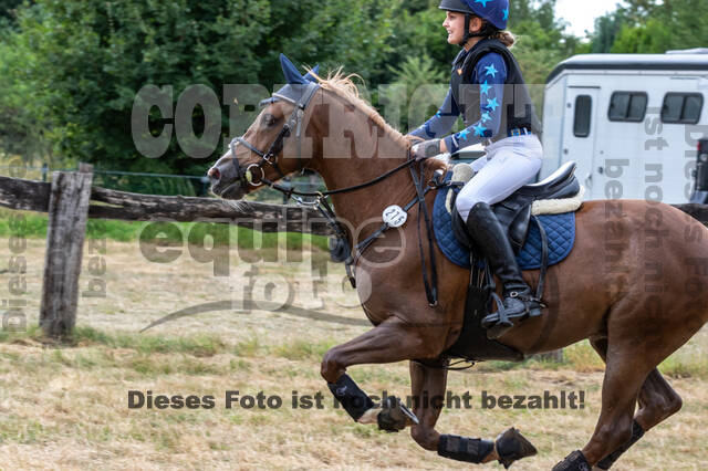 Late-Entry Vielseitigkeit Hamminkeln/Wesel (01.+02.08.2020)