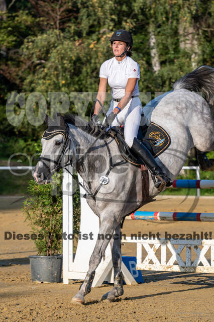 RFV Dinslaken-Hiesfeld (Herbstturnier)