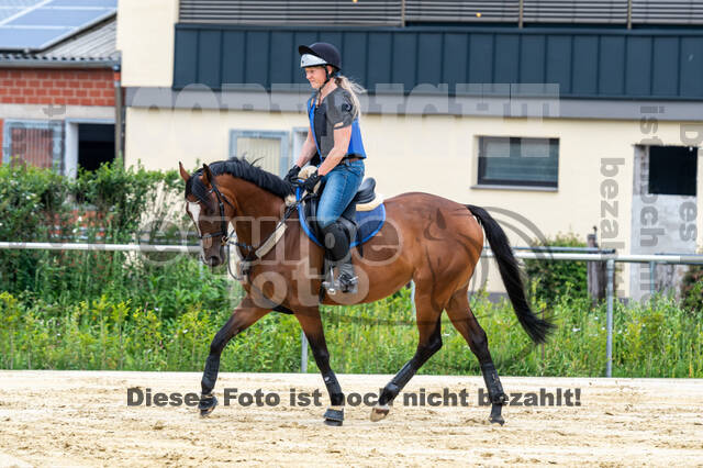 Hunter Geländetraining 10.07.2021 (Sonsbeck)