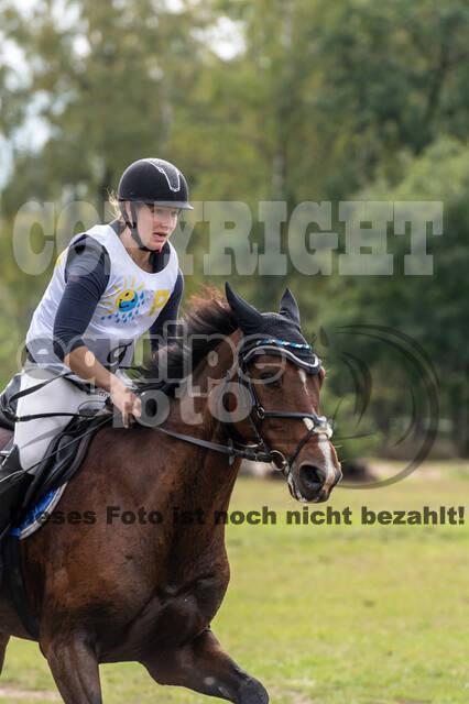 Vielseitigkeit RSV Wesel Obrighoven (26.+27.09.2020)