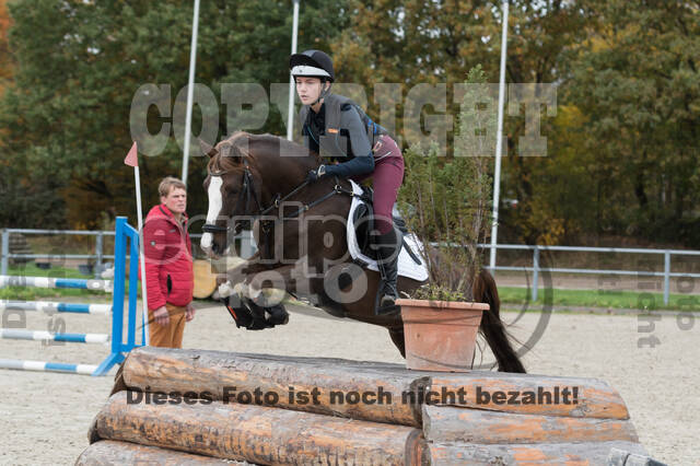 IGV Lehrgang der Sieger der Cups mit Frank Ostholt