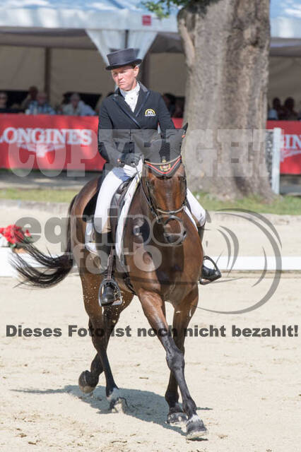FEI European Championship Eventing 2017
