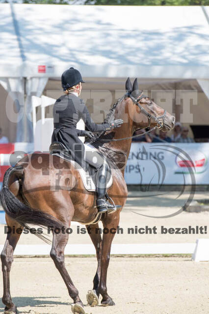 FEI European Championship Eventing 2017