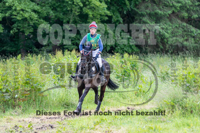 Westerstede Horse Trials (10.-13.06.2021)